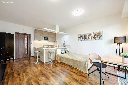 Pronájem bytu 1+kk 36 m² Olšanská, Praha - Žižkov