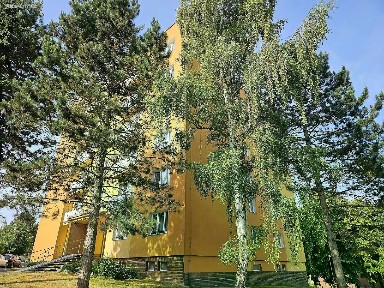 Pronájem bytu 1+1 45 m² Lazaretní, Plzeň - Doubravka