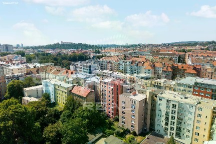 Prodej bytu 1+1 55 m² Bayerova, Brno - Veveří