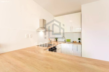 Pronájem bytu 1+kk 30 m² Selicharova, Hradec Králové - Nový Hradec Králové