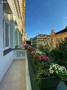 Pronájem bytu 5+kk 180 m² Třebízského, Praha - Vinohrady