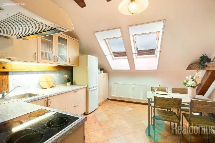 Pronájem bytu 2+1 64 m² Puklicova, České Budějovice - České Budějovice 3