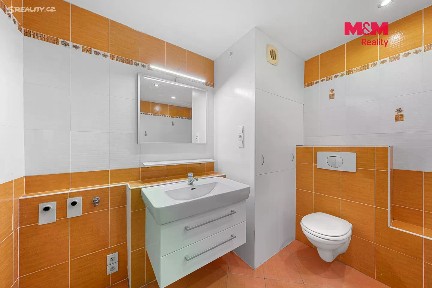 Prodej bytu 3+1 80 m² Brandtova, Ústí nad Labem - Severní Terasa
