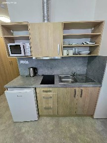 Pronájem bytu pokoje 19 m² Železniční, Plzeň - Východní Předměstí