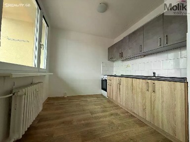 Pronájem bytu 2+1 48 m² Bezejmenná, Bílina - Pražské Předměstí