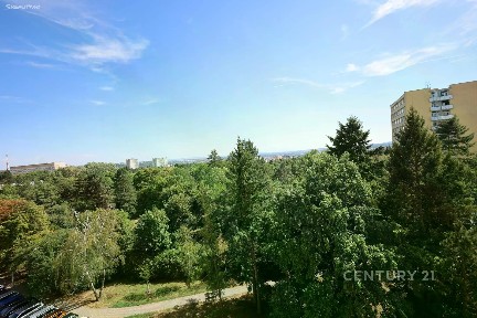 Pronájem bytu 3+1 74 m² Haškova, Brno - Lesná