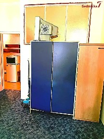 Pronájem bytu 1+kk 28 m² Cihlářská, Brno - Veveří