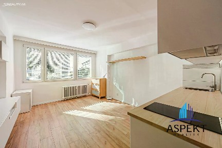 Pronájem bytu 1+kk 24 m² Evropská, Praha - Vokovice