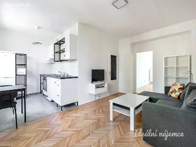 Pronájem bytu 2+kk 46 m² U kombinátu, Praha - Strašnice