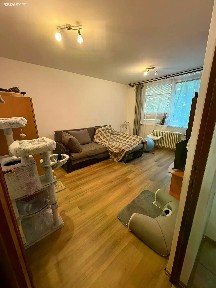 Pronájem bytu 2+1 58 m² Březinova, Jihlava