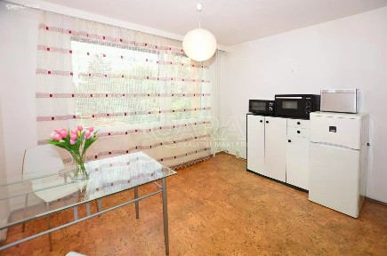 Pronájem bytu 1+1 39 m² Na domovině, Praha - Libuš