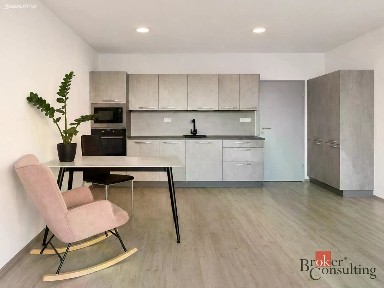 Pronájem bytu 2+kk 64 m² Železná, Plzeň - Jižní Předměstí