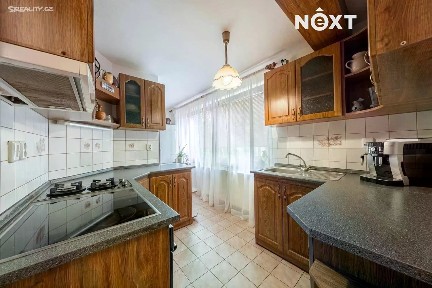 Pronájem rodinného domu 170 m², pozemek 491 m² Kaštanka, Luže