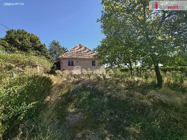 Prodej zemědělské usedlosti 300 m², pozemek 2382 m² Dolní Beřkovice