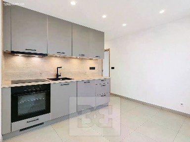 Pronájem bytu 2+1 55 m² Lipská, Brno - Žabovřesky