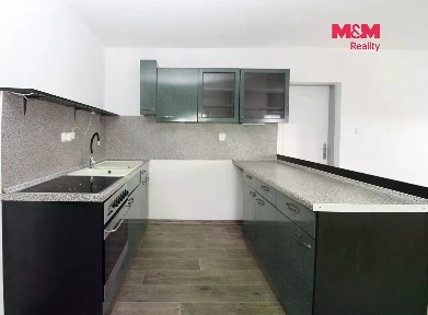 Pronájem bytu 1+1 40 m²