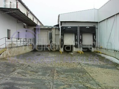 Prodej výrobní haly, prostoru 3022 m² Litenčice - Strabenice