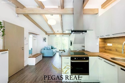 Pronájem bytu 2+kk 54 m² Přívrat, Brno - Žabovřesky