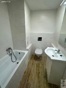 Pronájem bytu 1+1 35 m² Marš. Rybalka, Most