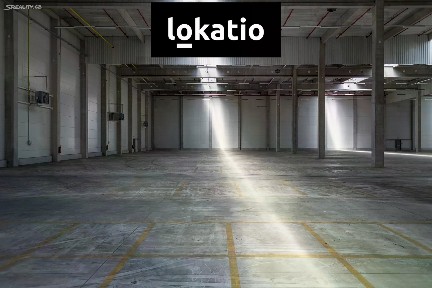 Pronájem skladového prostoru 9579 m²