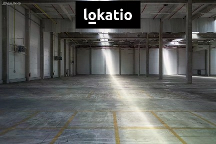 Pronájem skladového prostoru 9579 m²