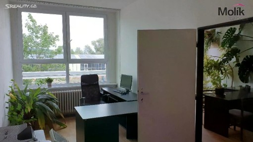 Malé Březno