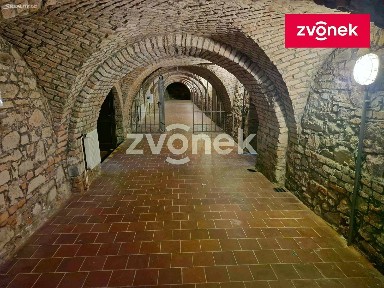 Pronájem obchodního prostoru 650 m²