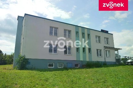 Pronájem obchodního prostoru 270 m²