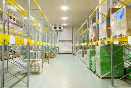 Pronájem skladového prostoru 1172 m²