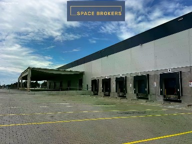 Pronájem skladového prostoru 11700 m²