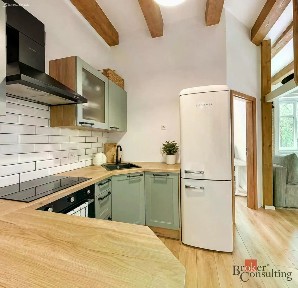 Pronájem bytu 2+kk 43 m² Lipová, Plzeň - Severní Předměstí