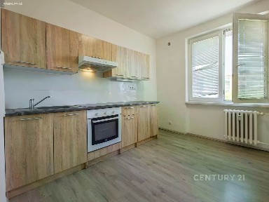 Pronájem bytu 1+1 40 m²
