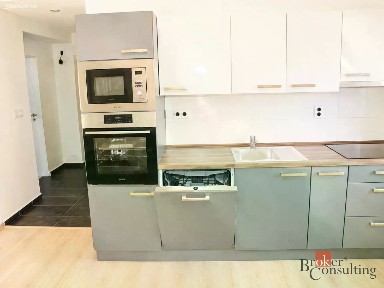 Pronájem bytu 2+1 54 m² Jubilejní, Ostrava - Hrabůvka