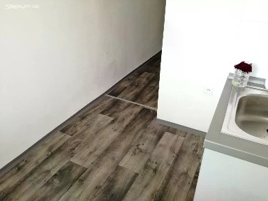 Pronájem bytu 1+1 39 m² U Haldy, Ostrava - Hrabůvka