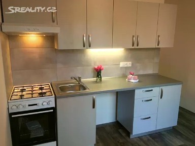 Pronájem bytu 1+1 41 m² Hudební, Ostrava - Mariánské Hory