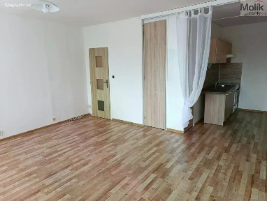 Prodej bytu 1+kk 32 m² V Oblouku, Ústí nad Labem - Krásné Březno