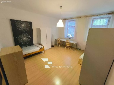 Pronájem bytu pokoje 20 m² Jiránkova, Brno - Černovice