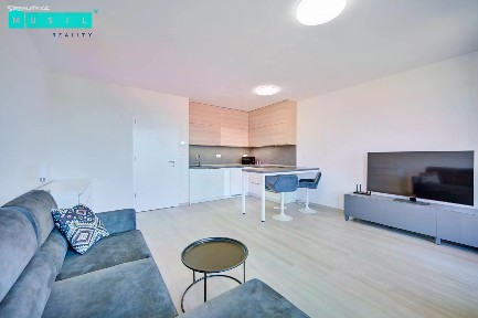 Pronájem bytu 1+kk 38 m² Pionýrů, Uničov