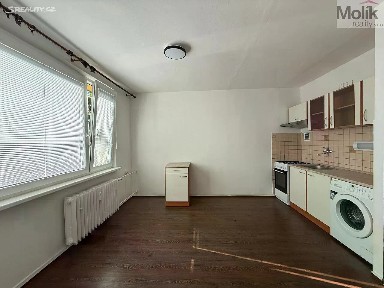 Pronájem bytu 1+1 35 m² Mostecká, Litvínov - Horní Litvínov