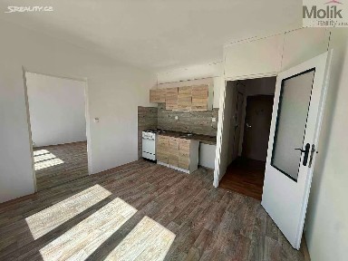 Pronájem bytu 1+1 35 m²