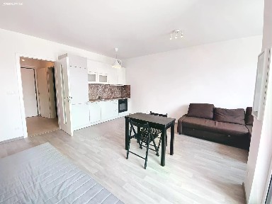 Pronájem bytu 1+kk 45 m² Olgy Havlové, Praha - Žižkov