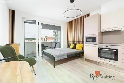 Pronájem bytu 1+kk 28 m² Na Chmelnicích, Plzeň - Severní Předměstí