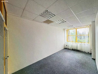 Pronájem kanceláře 40 m² Seifertova, Přerov - Přerov I-Město