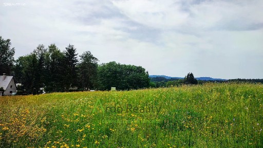 Prodej komerční nemovitosti 1779 m²