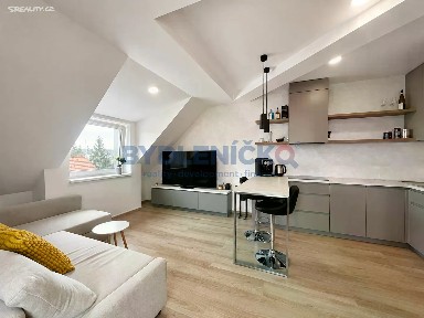 Pronájem bytu 2+kk 60 m² Nová, České Budějovice - České Budějovice 3