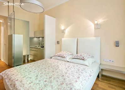 Pronájem bytu 1+kk 23 m² Praha - Staré Město