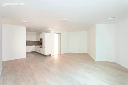 Pronájem bytu 2+kk 81 m² V Horkách, Praha - Nusle