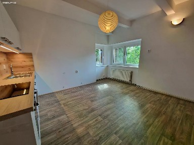 Pronájem bytu 2+kk 40 m² S. K. Neumanna, Praha - Libeň