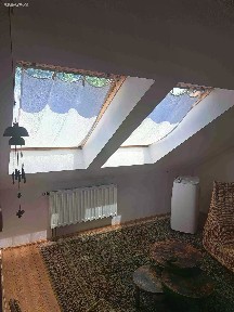Třebíč, Horka-Domky, Litoltova