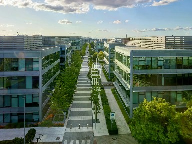 Pronájem kanceláře 1085 m²